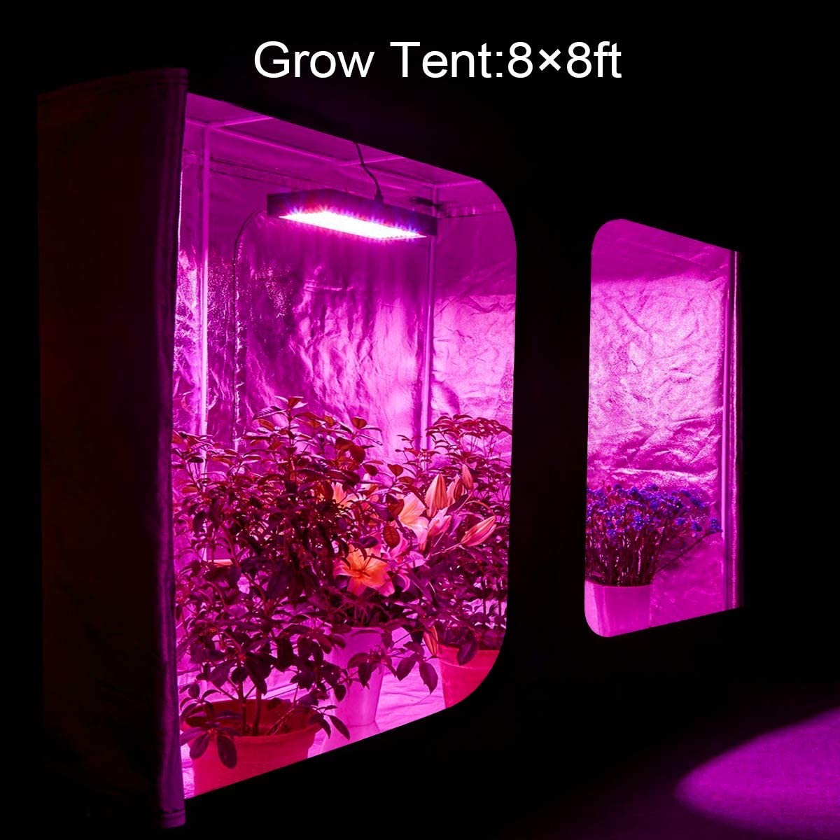 BESTVA, BESTVA 3000W Double Chips LED Grow Light Full Spectrum 12 Band Grown Lamp for Greenhouse Hydroponic Indoor Veg and Flower New