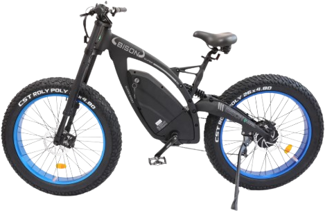 Ecotric, Ecotric Bison E-Bike 48V 17.5AH 1000W 25 MPH Big Fat Tire Blue NS-SON26LCD-BL New