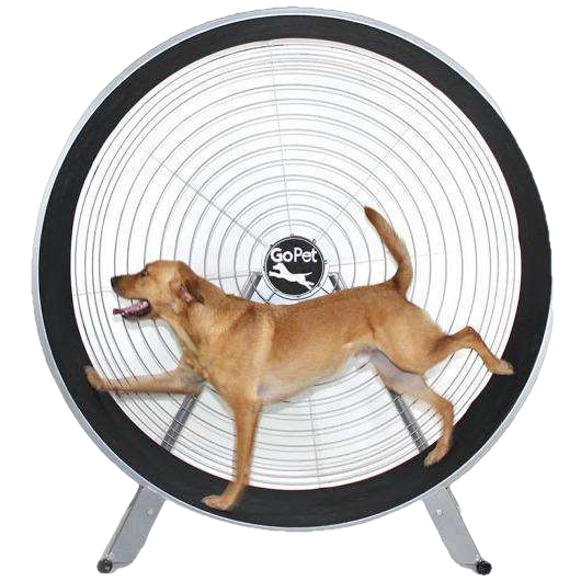 GoPet, GoPet CS8022 PetRun 36 Inch Large Breed up to 150 pounds Extra Large Dog Treadmill New