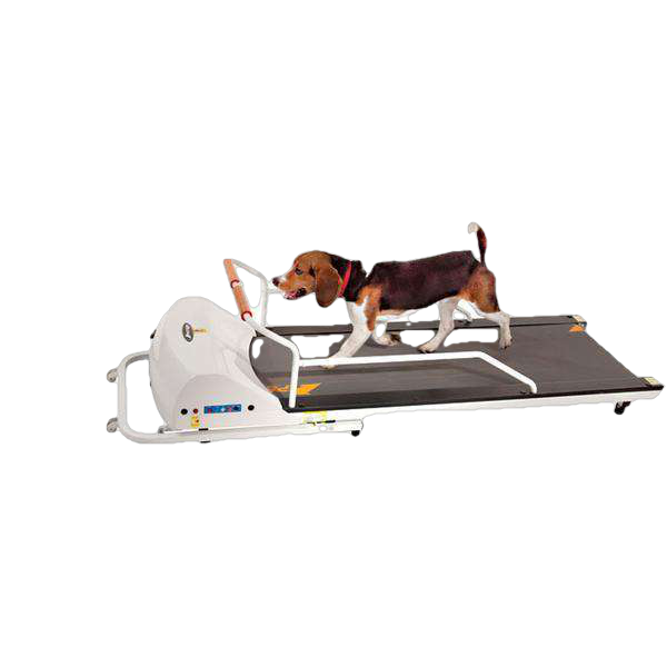 GoPet, GoPet PR720F PetRun up to 132 pounds Small Medium Dog Treadmill New
