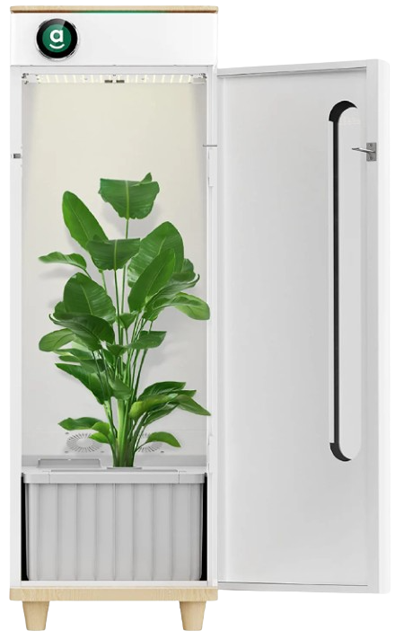 Hey Abby, Hey Abby Indoor Automated Hydroponic Grow Box System New