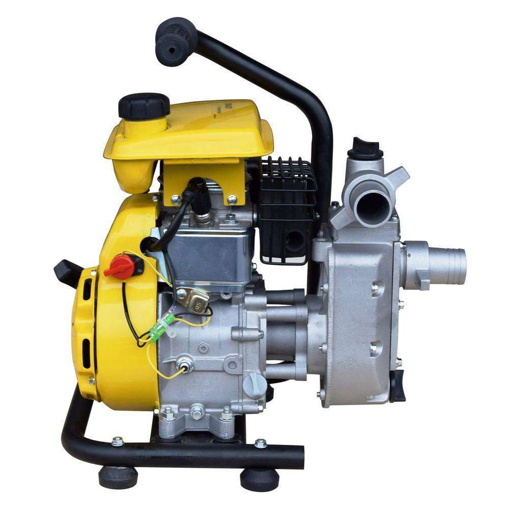 Stanley, Stanley ST1WP-CA Water Pump 3 HP 1" Suction Non-Submersible Displacement New